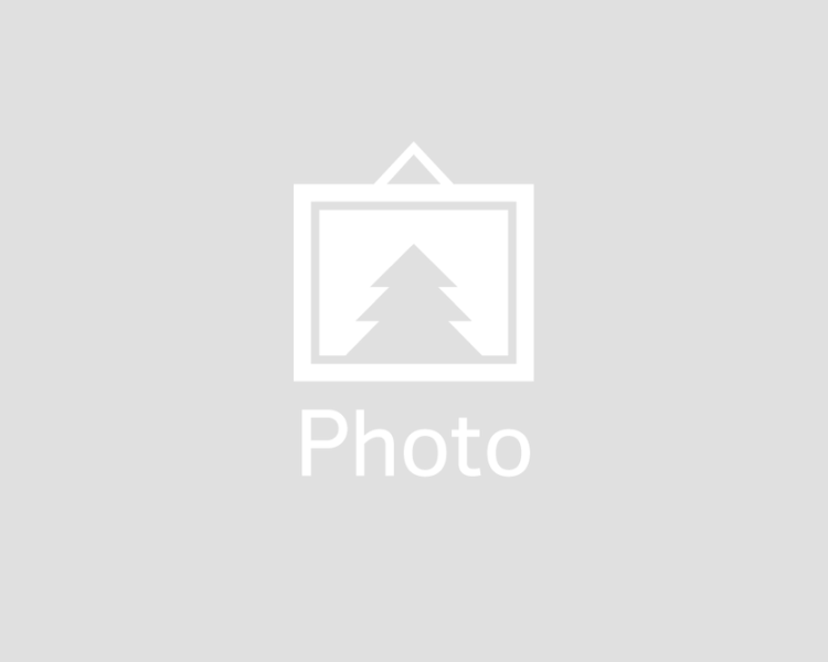 Placeholder image.